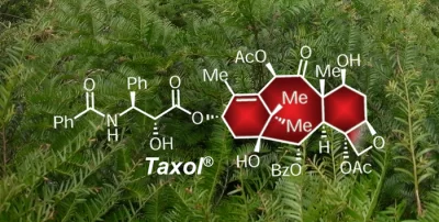 Tarımsal Atıklardan Yüksek Değerli Metabolitlerin Üretimi Hizmeti