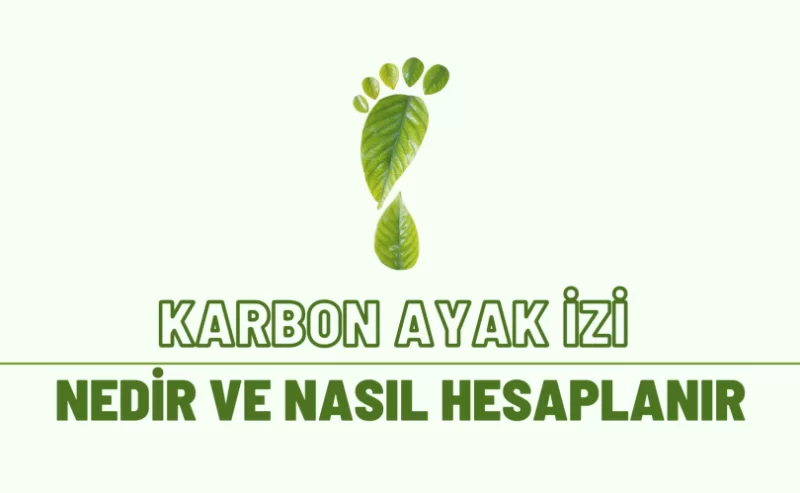 Karbon Ayak İzi Hesaplama Hizmetlerimiz